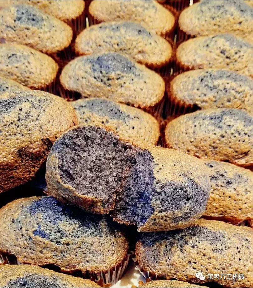 震撼來襲：黑米蛋糕技術(shù)帶你開括市場，抓住商機(jī)！